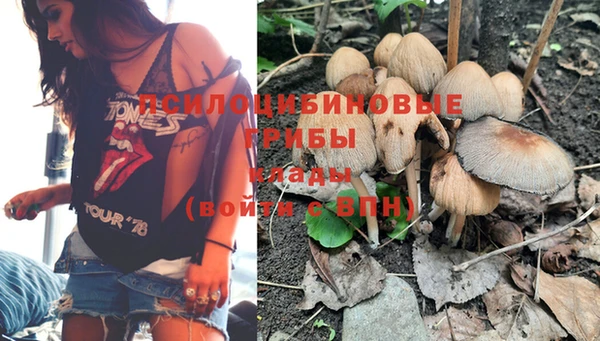 гашик Абдулино