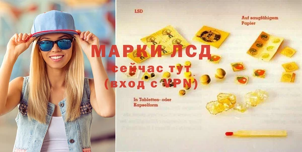 PSILOCYBIN Алзамай
