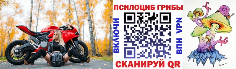 Псилоцибиновые грибы мухоморы  цены наркотик  Шебекино 