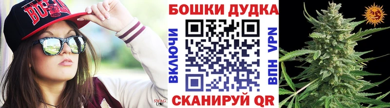Бошки Шишки гибрид  что такое   Шебекино 
